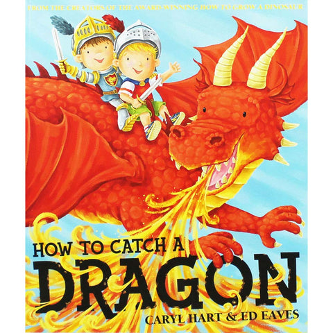 How To Catch a Dragon *