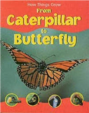 How things grow from caterpillar to butterfly