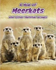 A Mob of Meerkats